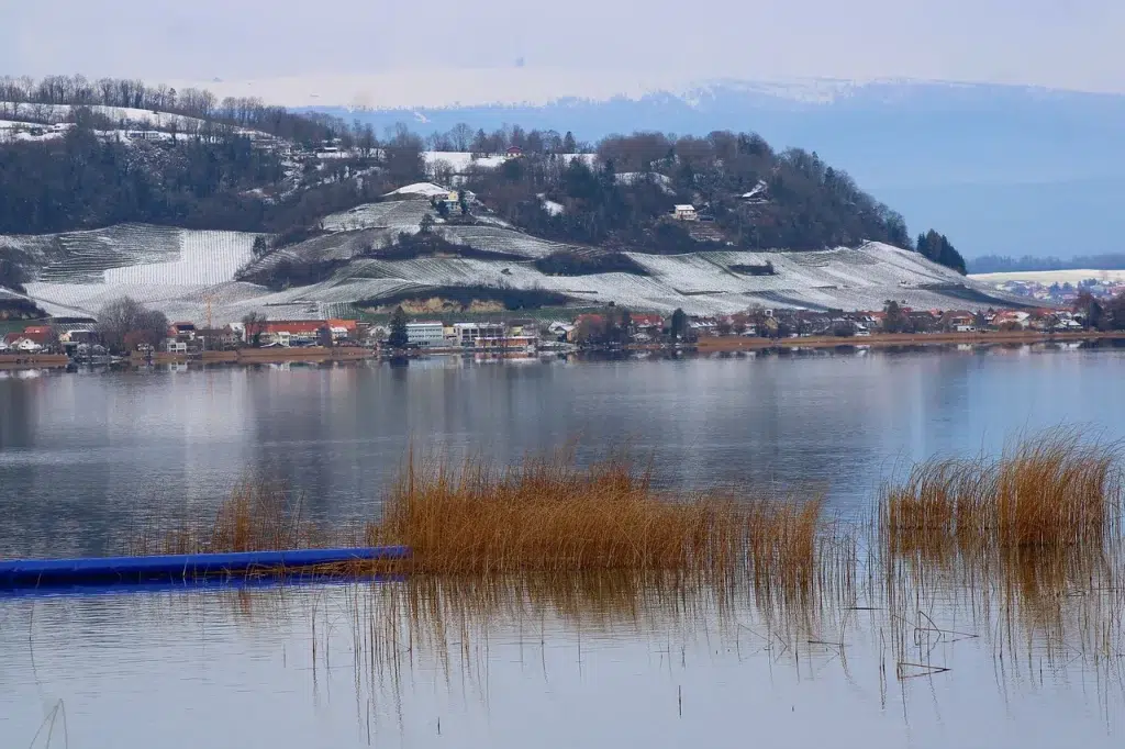 lac de Morat Murtensee Morat Lake Lake of Morat Murten Lake