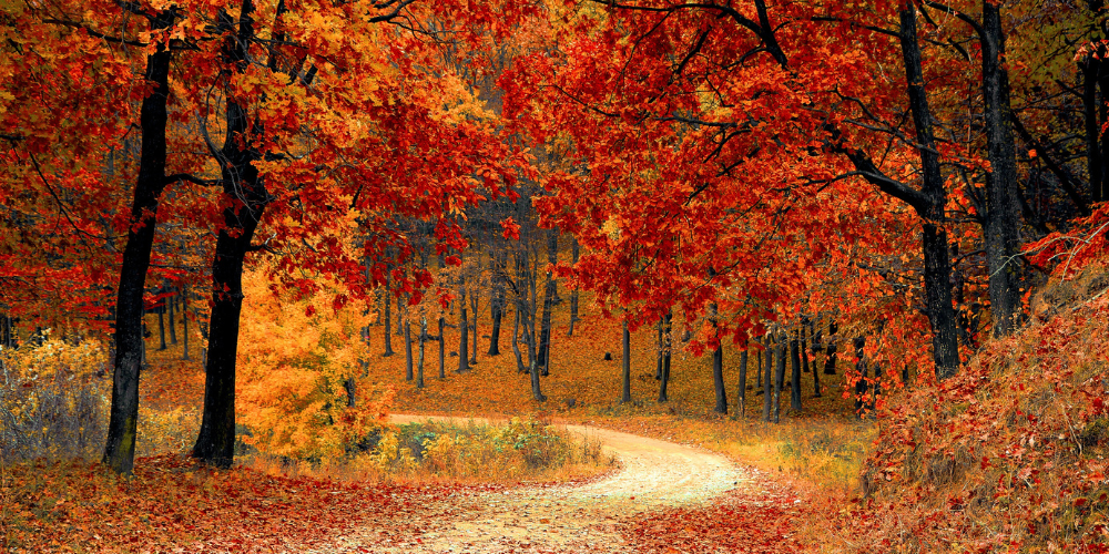 3 week-ends d'automne à Neuchâtel