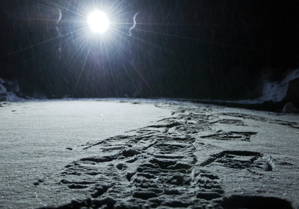 Balade en raquettes de nuit