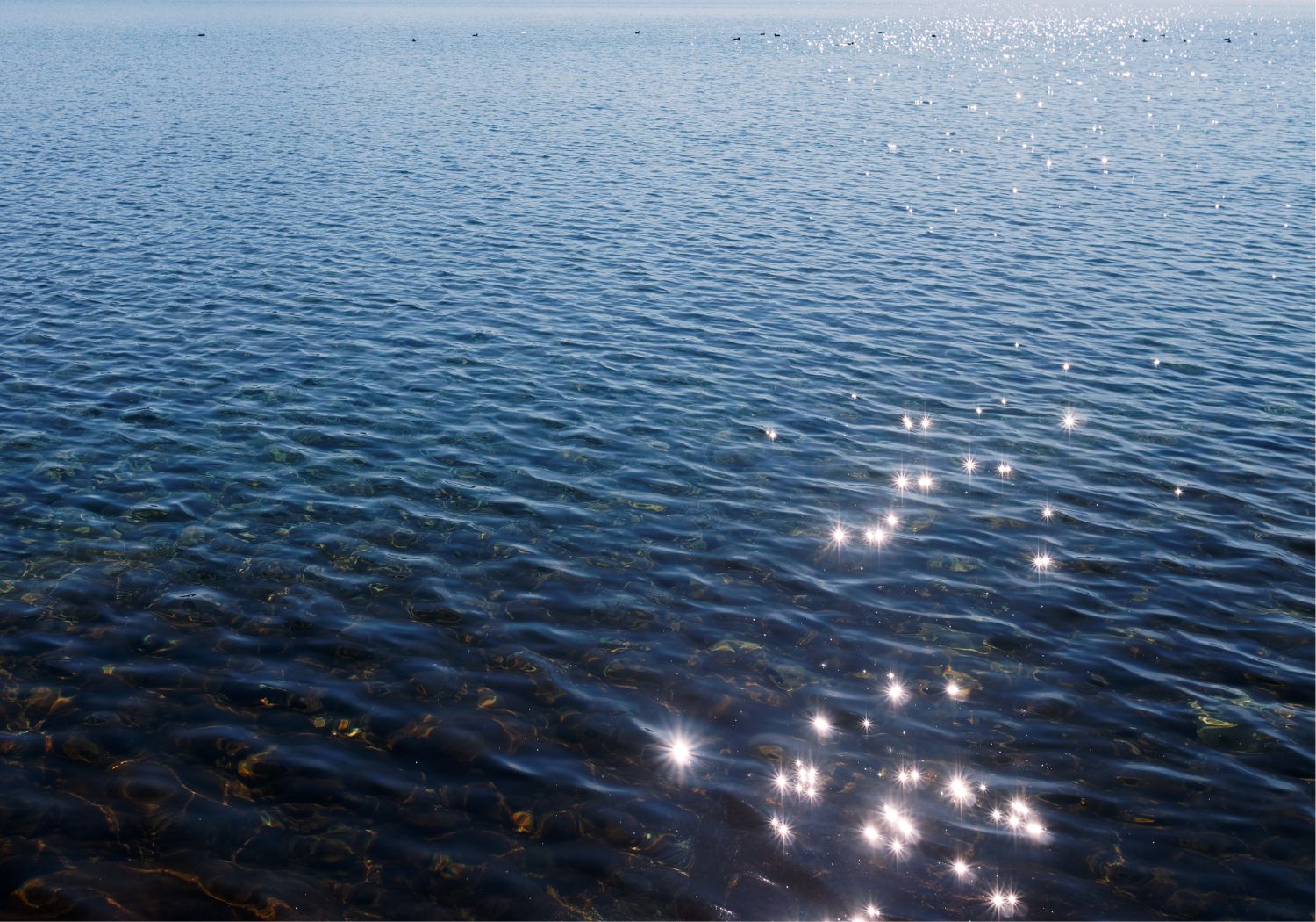 Les plus belles plages autour du lac de Neuchâtel