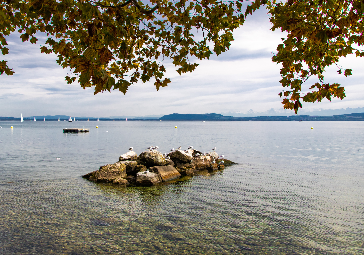 Lac de Neuchâtel en Septembre