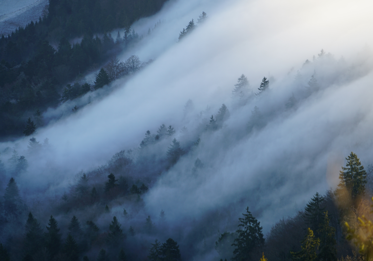 Mer de brouillard (1)