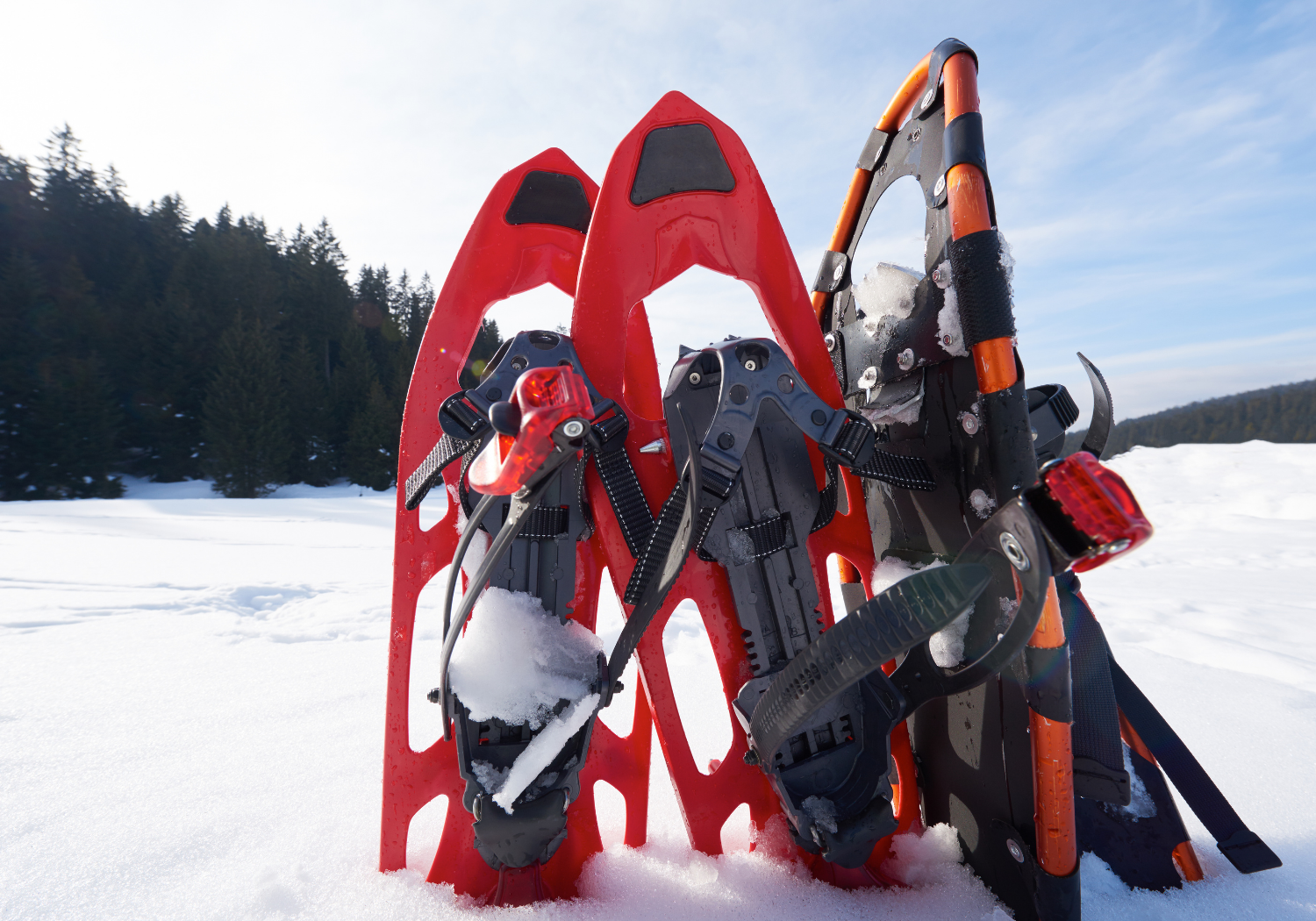 Raquettes et ski de fond dans le Jura neuchâtelois