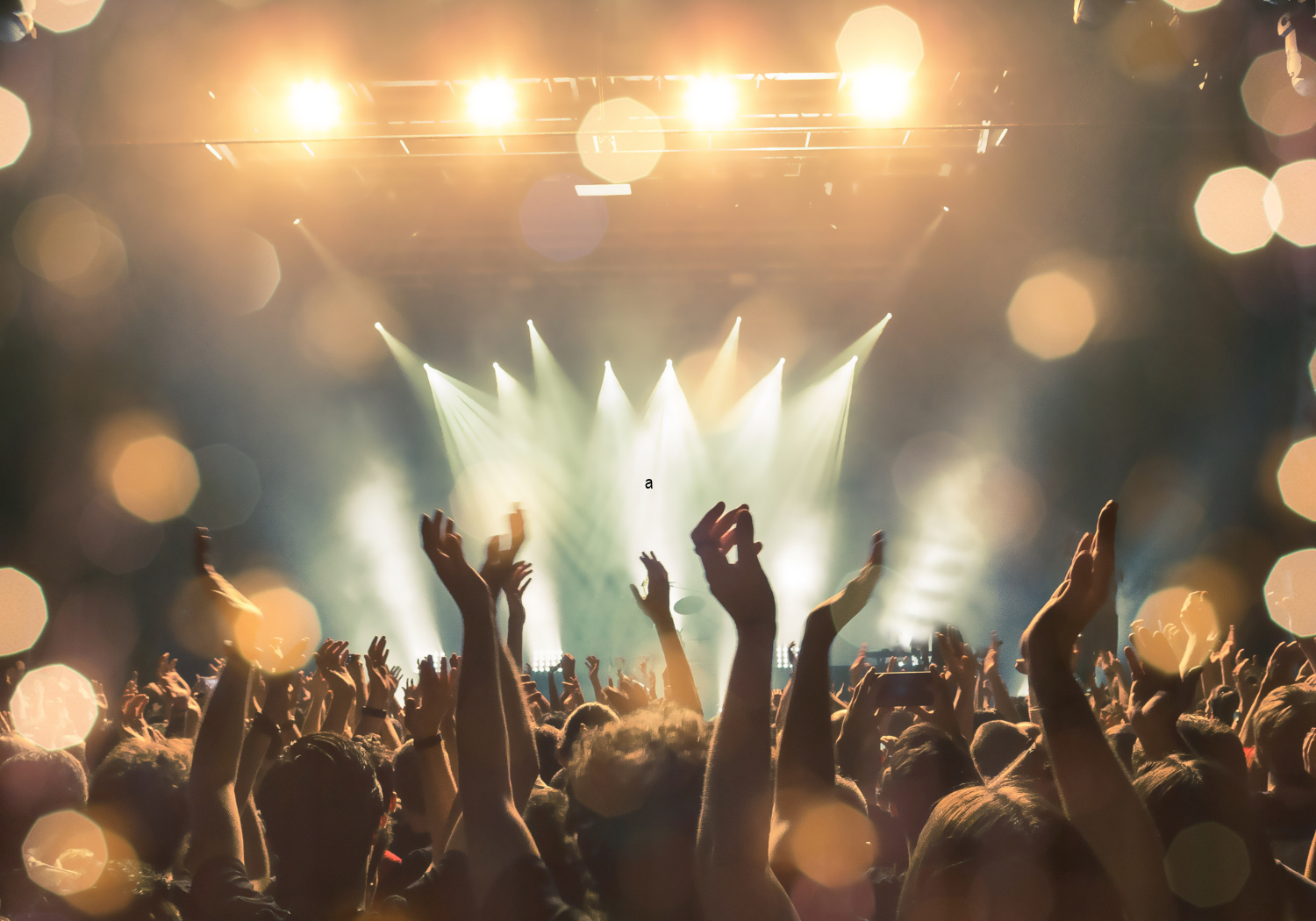Festival